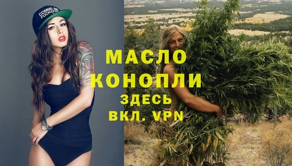 тгк Богданович