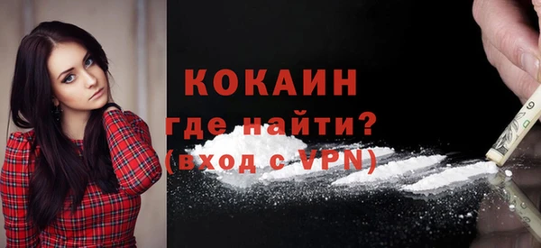 крисы Богородицк
