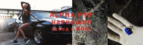 крисы Богородицк