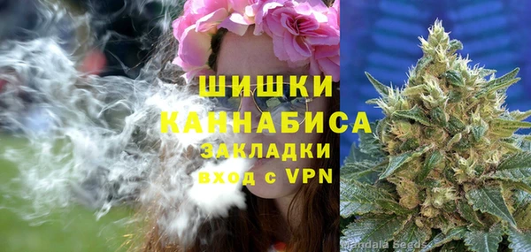 тгк Богданович