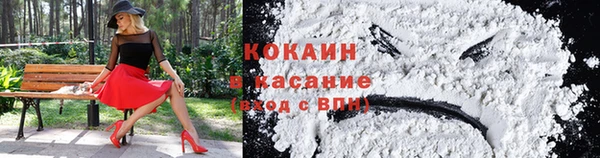 тгк Богданович
