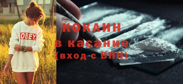 крисы Богородицк