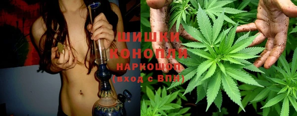 тгк Богданович