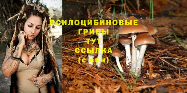 тгк Богданович