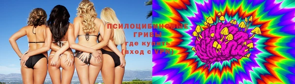 тгк Богданович