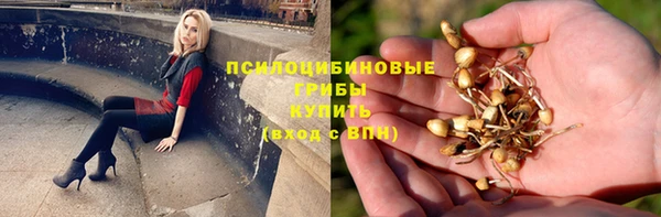 МДМА Богородск