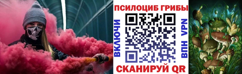 Псилоцибиновые грибы Psilocybe Дигора