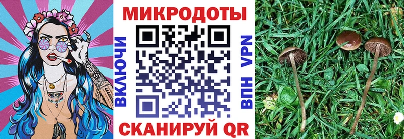 OMG вход Дигора Галлюциногенные грибы ЛСД