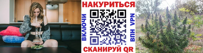 хочу наркоту  Дигора  Марихуана семена 